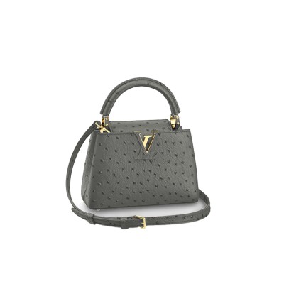 LOUIS VUITTON CAPUCINES MINI M95509 (21*14*8cm) 